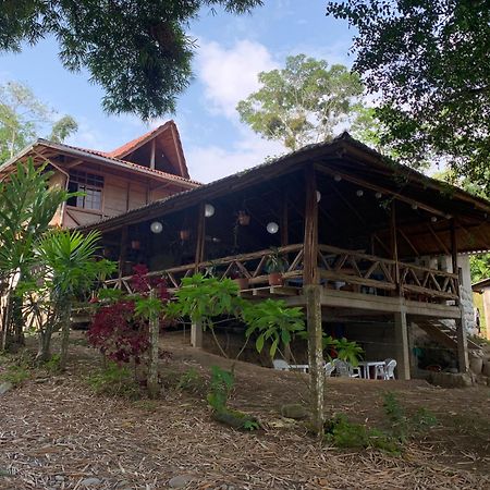 דירות Puerto Misahuallí Playa Tortuga מראה חיצוני תמונה