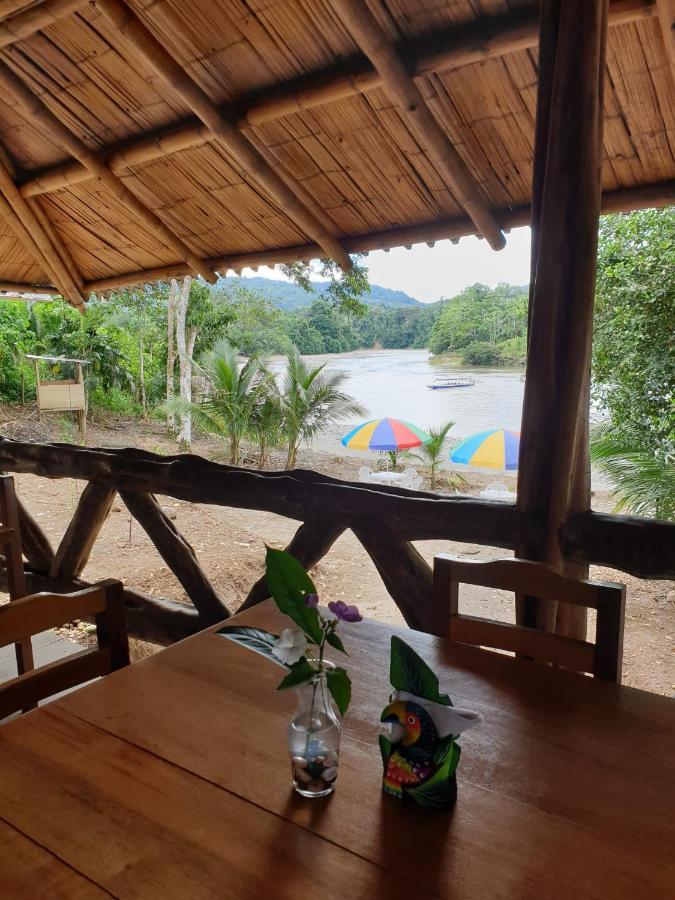 דירות Puerto Misahuallí Playa Tortuga מראה חיצוני תמונה