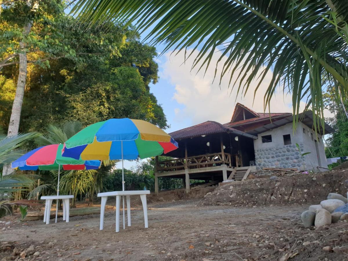 דירות Puerto Misahuallí Playa Tortuga מראה חיצוני תמונה