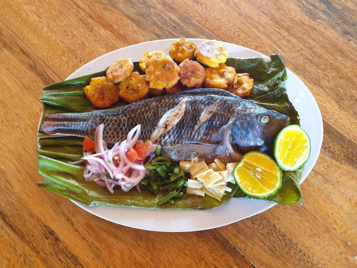 דירות Puerto Misahuallí Playa Tortuga מראה חיצוני תמונה