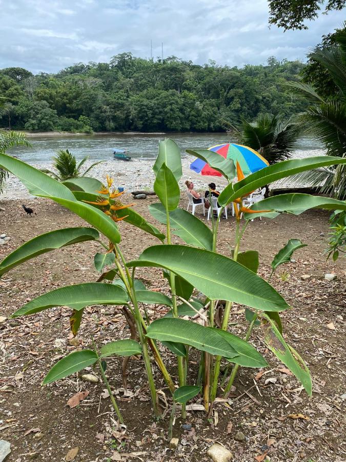 דירות Puerto Misahuallí Playa Tortuga מראה חיצוני תמונה